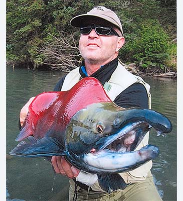496_Sockeye Salmon_Oncorhynchus nerka.jpg 496_Sockeye Salmon_Oncorhynchus nerka.jpg